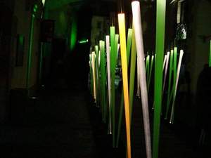 Exposicions