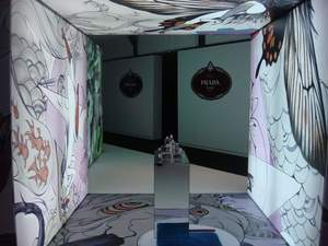 Exposicions